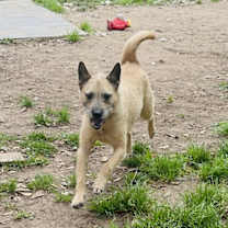 Thumbnail photo of Coco #4