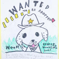Thumbnail photo of Woody #2
