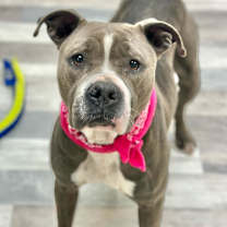 Thumbnail photo of Diamond #3