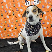 Thumbnail photo of Jerry #2