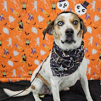 Thumbnail photo of Jerry #3
