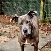 Thumbnail photo of Penelope #2