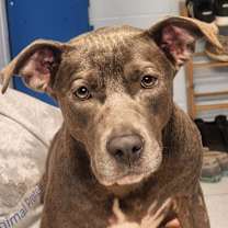 Thumbnail photo of Penelope #3