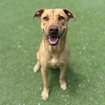 Thumbnail photo of Nadia AKA Daisy #1