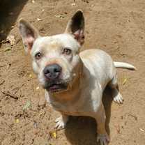 Thumbnail photo of Grits #2