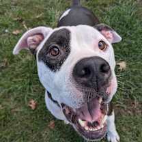 Thumbnail photo of Murphy #1