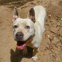 Thumbnail photo of Grits #3