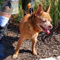 Thumbnail photo of Raul Hayes #3