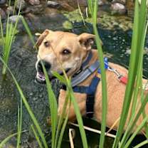 Thumbnail photo of Mojito #4