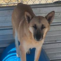 Thumbnail photo of Normandy #1