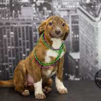 Thumbnail photo of Braylee #2