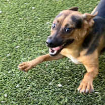 Thumbnail photo of Sawyer #2