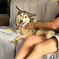 Thumbnail photo of Nina #4