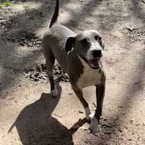 Thumbnail photo of Reagan #1