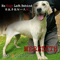 Thumbnail photo of Meredith 8353 #2