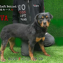 Thumbnail photo of Nova8225 #3