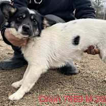 Thumbnail photo of Orion 7689 #1