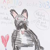 Thumbnail photo of Apollo #2
