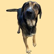 Thumbnail photo of William #2