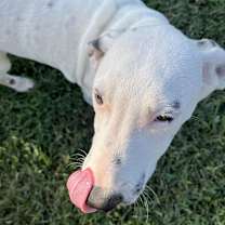 Thumbnail photo of Lyric #1