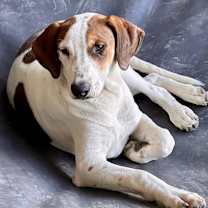 Thumbnail photo of Lula #1