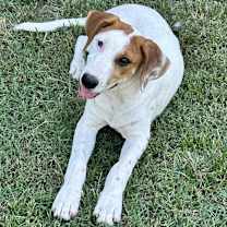 Thumbnail photo of Lula #2