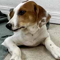 Thumbnail photo of Lula #3