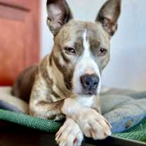 Thumbnail photo of RILEY McPITTY #2