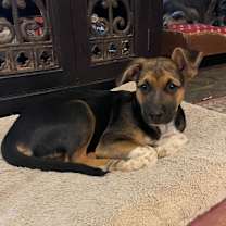 Thumbnail photo of Annie #3