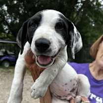 Thumbnail photo of Livvie #4