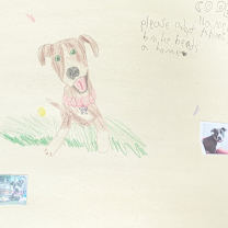 Thumbnail photo of Chavez #3
