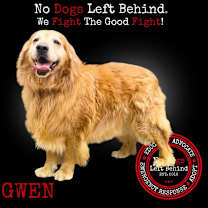 Thumbnail photo of Gwen 8872 0358 #1