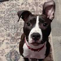 Thumbnail photo of Rio SM #3