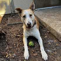 Thumbnail photo of TUCK #2