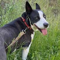 Thumbnail photo of FRIDA now RITA #1