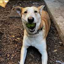 Thumbnail photo of TUCK #3