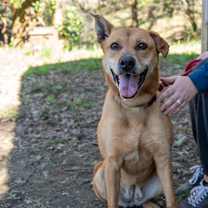 Thumbnail photo of MARLIE #3