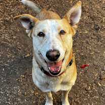 Thumbnail photo of TUCK #4