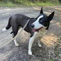 Thumbnail photo of FRIDA now RITA #4