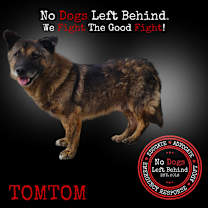 Thumbnail photo of Tomtom 9909 #1