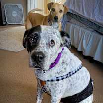 Thumbnail photo of McDaddy JuM #3