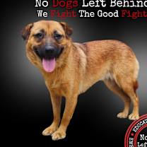 Thumbnail photo of Autumn 9758 #1