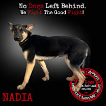 Thumbnail photo of Nadia 9394 #1