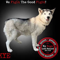 Thumbnail photo of Skye 9409 #1