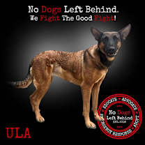 Thumbnail photo of Ula 9856 #2