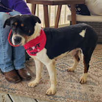 Thumbnail photo of Miss Bea JuM #2