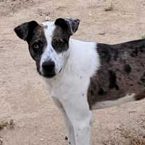 Thumbnail photo of Helena JuM* #1