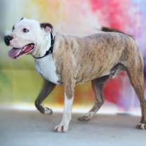 Thumbnail photo of Squiggy JuM #2