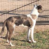 Thumbnail photo of Helena JuM* #4