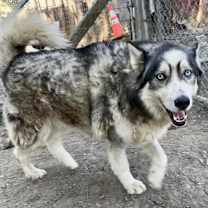 Thumbnail photo of PAULO #2